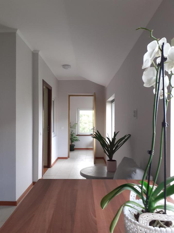Casa vacanze Muzicii 11 - Cozy Seaside