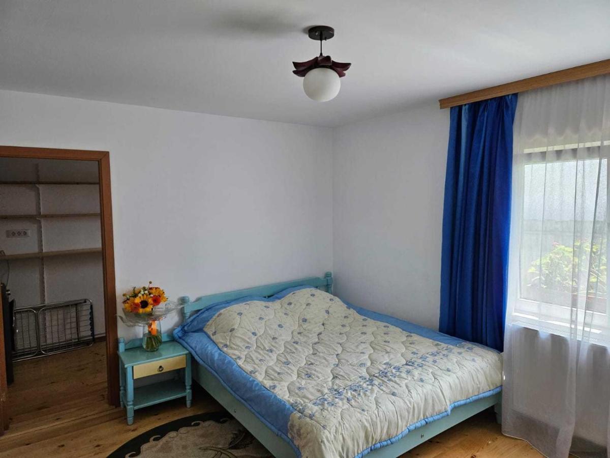 Muzicii 11 - Cozy Seaside Năvodari